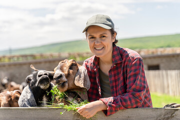 Portrait Woman Breeder of cattle of goats of the Anglo-Nubian breed. Close-up female farmer feeding goats with green grass on countryside background. Livestock farmers insurance. Healthy lifestyle