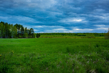 May fields of the Middle Urals. 2022
Майские поля Среднего Урала. 2022 год. 