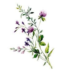 Fototapeta na wymiar Bouquet of wildflowers. Watercolor illustration of meadow flowers for card, invitation, scrapbooking.