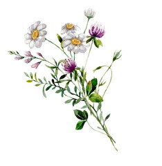 Bouquet of wildflowers. Watercolor illustration of meadow flowers for card, invitation, scrapbooking.
