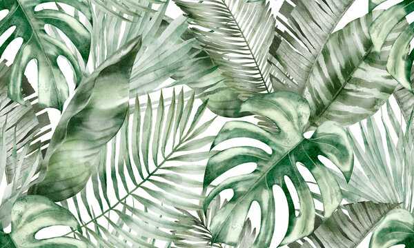 Watercolor tropical seamless pattern: botanical leaves