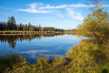 Obraz premium idyllic moor lake Mooshamer Weiher, autumn landscape