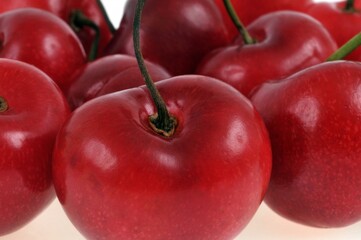 Cerises burlat bio en gros plan