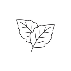 menthol leaf icon in black flat glyph, filled style isolated on white background