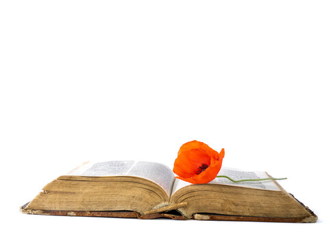 "Book Of Knowledge" Images – Browse 205 Stock Photos, Vectors, and ...