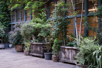 Landscaping of urban public spaces with different potted plants and flowers, creating cozy green places. Hotel area with a lush green garden and wooden floor outdoors. Backyard with greenery