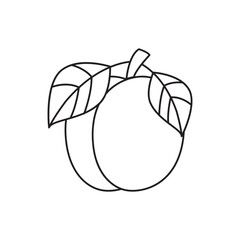 Plum icon in line style icon, isolated on white background