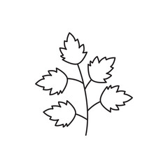 Coriander leaf icon in line style icon, isolated on white background