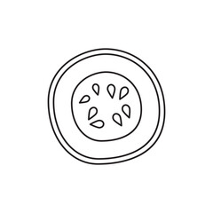 Cucumber, cucumis sativus icon in line style icon, isolated on white background