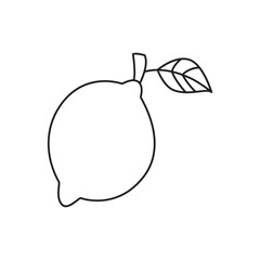 Citrus fruit icon in line style icon, isolated on white background