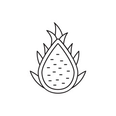 Dragon fruit icon in line style icon, isolated on white background