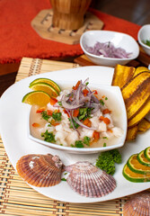 A bowl of delicious fish ceviche with shells and fried plantain