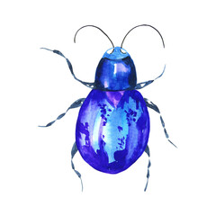 Watercolor illustration of colorful bug on white background. Hand drawn realistic background design.