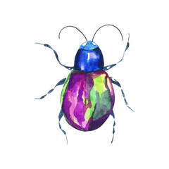 Watercolor illustration of colorful bug on white background. Hand drawn realistic background design.