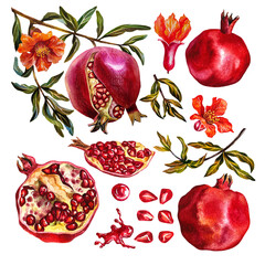 Pomegranate set. Pomegranate fruit on a branch, open pomegranate, pomegranate flowers. Watercolor illustration.