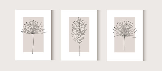Botanical wall art. Vector Dried Sun Fan Palms. Small Pampas Grass. Bohemian dry cream flowers. Dried flower bunches. Modern line art set.