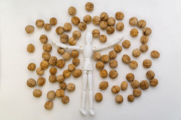 Walnut. concept idea in the human brain. Thinking. Vitamins for the brain