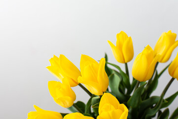 Beautiful spring bouquet of yellow tulips, festive bouquet for birthday or holiday