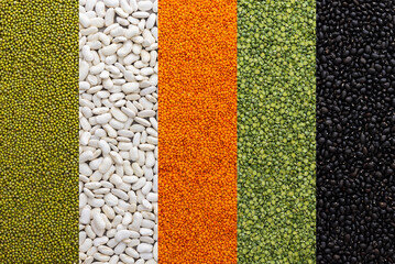 Different types of legumes, lentils and mung beans, green peas and white and black beans, top view