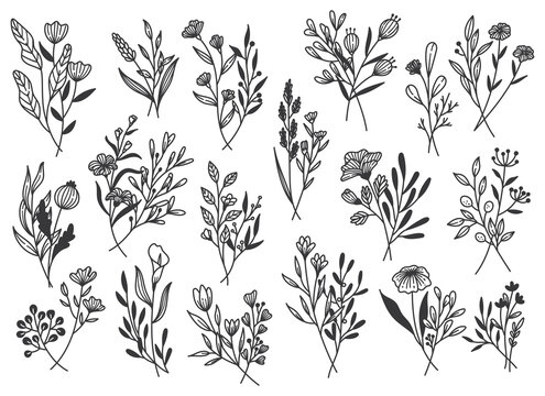 Set of Plants Doodle Design Element, Leaves and Flower Line Art Vector Illustration