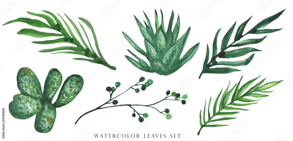 Wall mural Exotic plants, palm leaves, monstera on an isolated white background, watercolor illustration