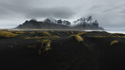 Icelandic black-sand beach landscape with yellow-green tufts of grass, snow-powdered mountain in background, grey cloudy sky