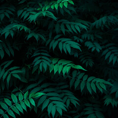 Naklejka na ściany i meble Green leaves pattern, summer natural plant background, wallpaper. Dark texture of fresh foliage in night. Greenery backdrop for design.