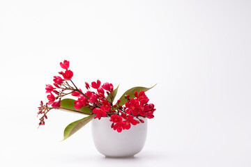 Red flowers in white coffee cup