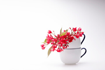 Red flowers in white coffee cup