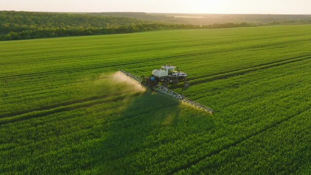 Aerial view Agricultural tractor sprays field with wheat with pesticides and herbicides at sunset spring zoom. Agricultural work on agricultural farm. Nature
