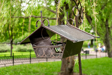 bird feeder hanging on tree branch in the summer park