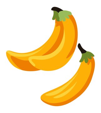 Bananas free fruit ripe organic product vector