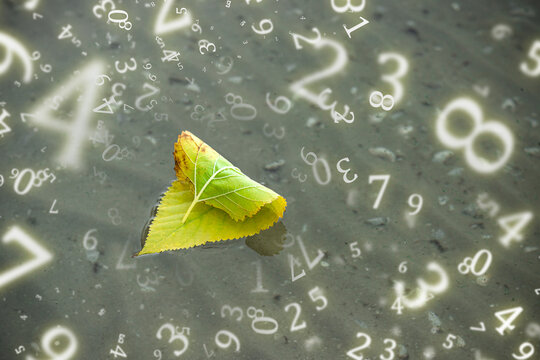 numerology, an autumn leaf in the form of a sailboat floats on the water surrounded by numbers, life path concept