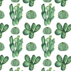texas, flora, white background, floral pattern, wrapping paper, elegant, hand painted, mexico, opuntia, garden, plant, background, watercolor, print, tropical, nature, green, seamless, floral, exotic,