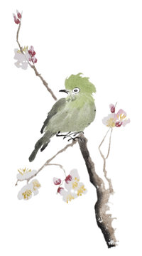 Small green bird (white-eye) sitting on a sakura tree branch, painted with ink watercolors on xuan (rice) paper, oriental style. Texture of paper and brush strokes - intact. Background`s removed