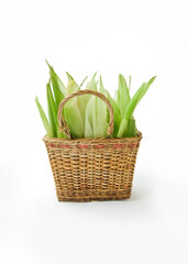 Basket with corn leaves