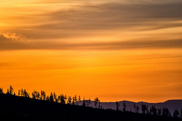 Trees silhouettes in the mountains against the sunrise. The Tatra Mountains, Slovakia.