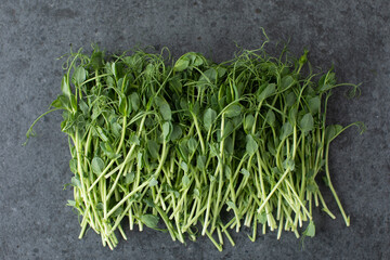 Vegan and fresh microgreen on black background