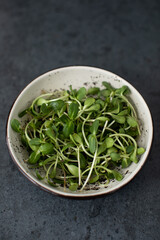 Vegan and fresh microgreen in a ceramic bowl