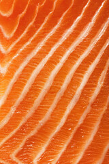 close up of salmon