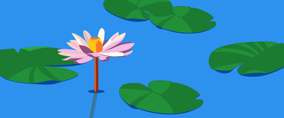 Beautiful pink lotus flower among green lotus leaves. Pond with leaves and flower nature.
