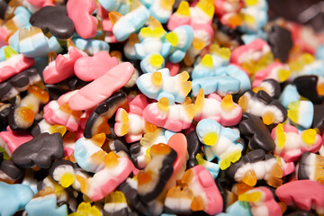 Candy sweets jelly. Close up view of delicious sweet multicolor candies in form of penguins. Fruit jelly in shop window. Sweets for Easter, Halloween. Unhealthy or organic food. Selective focus