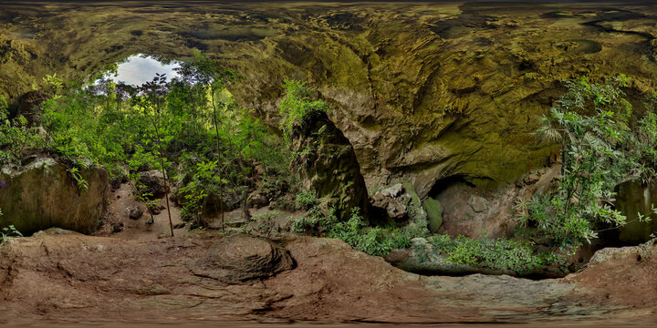 Black Hole Drop: Trunk Passage