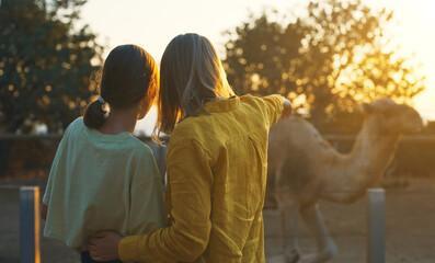 Woman and her daughter are watching camels.