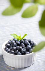 Wild forest blueberries in white bowl on gray wooden table. View through blur green leaves.