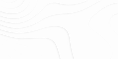 Vector abstract white paper cut banner. Geometric layered curve line white vector background, modern white wavy vector background. white paper cut background with 3D style and gradient color. 