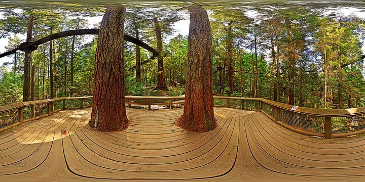 Capilano Park Tree Tops Adventure, Vancouver