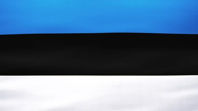Wavy Estonian flag in 4K, Texture Background of Flagpole. National flag of Estonia - Loop footage for travel company, presentation, screensaver or advertising.