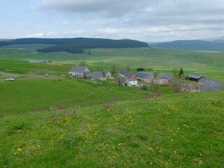 Obraz premium Motte de BRION - Cézallier