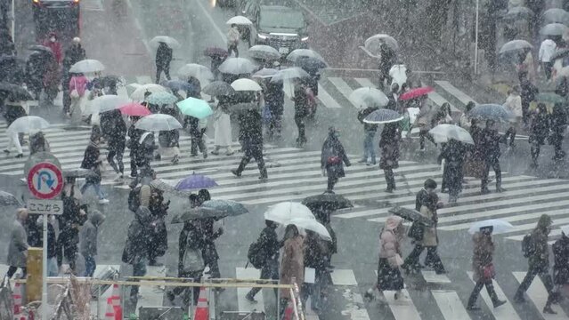 SHIBUYA, TOKYO, JAPAN - 6 JAN 2022 : Winter snow scenery around Shibuya crossing. Unidentified crowd of people at the street. Japanese urban city winter season and Christmas concept. Slow motion video